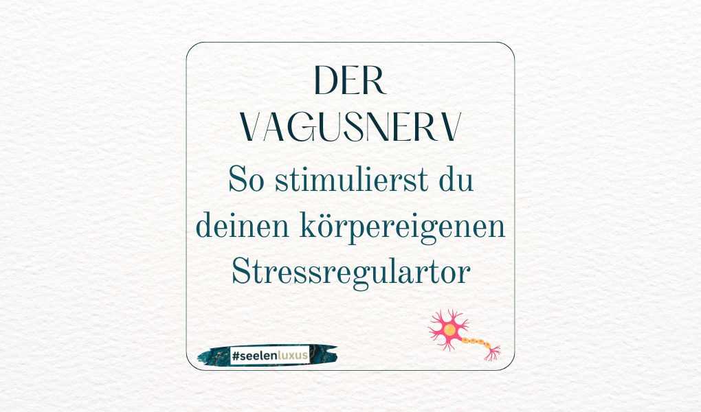 Der Vagusnerv, auch als zehnter Hirnnerv bezeichnet, ist der längste und komplexeste Hirnnerv im menschlichen Körper. Der Vagusnerv hat eine Vielzahl von Funktionen im Körper. Eine seiner wichtigsten Funktionen ist die Regulation des Herz-Kreislauf-System
