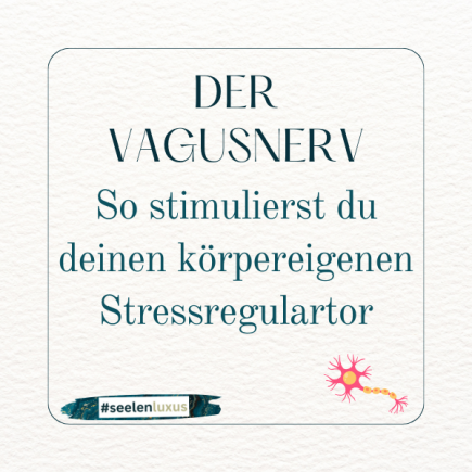 Der Vagusnerv, auch als zehnter Hirnnerv bezeichnet, ist der längste und komplexeste Hirnnerv im menschlichen Körper. Der Vagusnerv hat eine Vielzahl von Funktionen im Körper. Eine seiner wichtigsten Funktionen ist die Regulation des Herz-Kreislauf-System