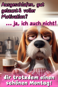 Lustiges Bild Montagnull