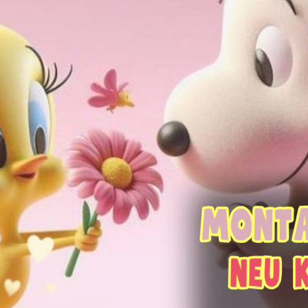 50 Montagsgrüße als Spruchbild zum Versenden Freunde, Kollegen, Familie + Schatz! Guten Morgen Gruß Whatsapp Status Facebook kostenlos lustig, frech, Montag NEU