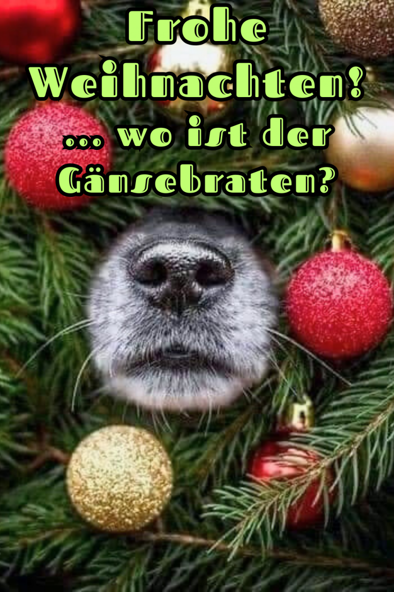 Erstaunlich Status Weihnachten Lustig Bildnull
